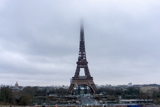 the eiffel tower towering over the city of paris