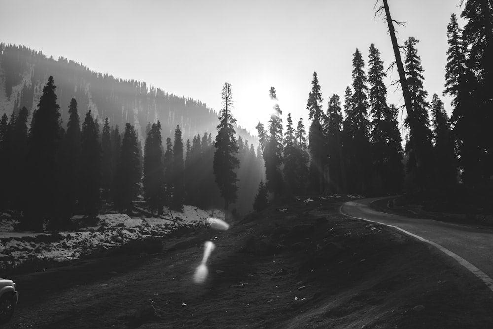 a black and white photo of a road in the woods