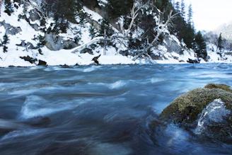 a river running through a snow covered forest