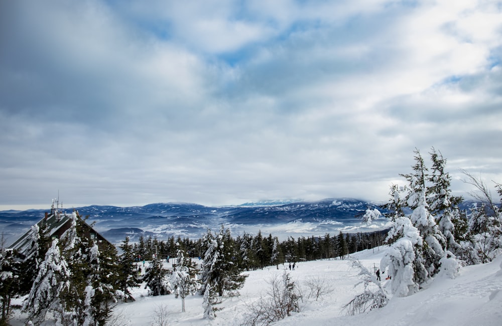 a view of a snowy mountain with trees and mountains in the distance