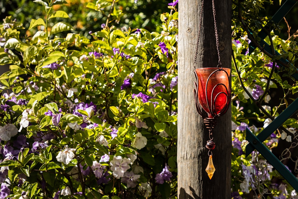 a red glass hanging from a wooden pole