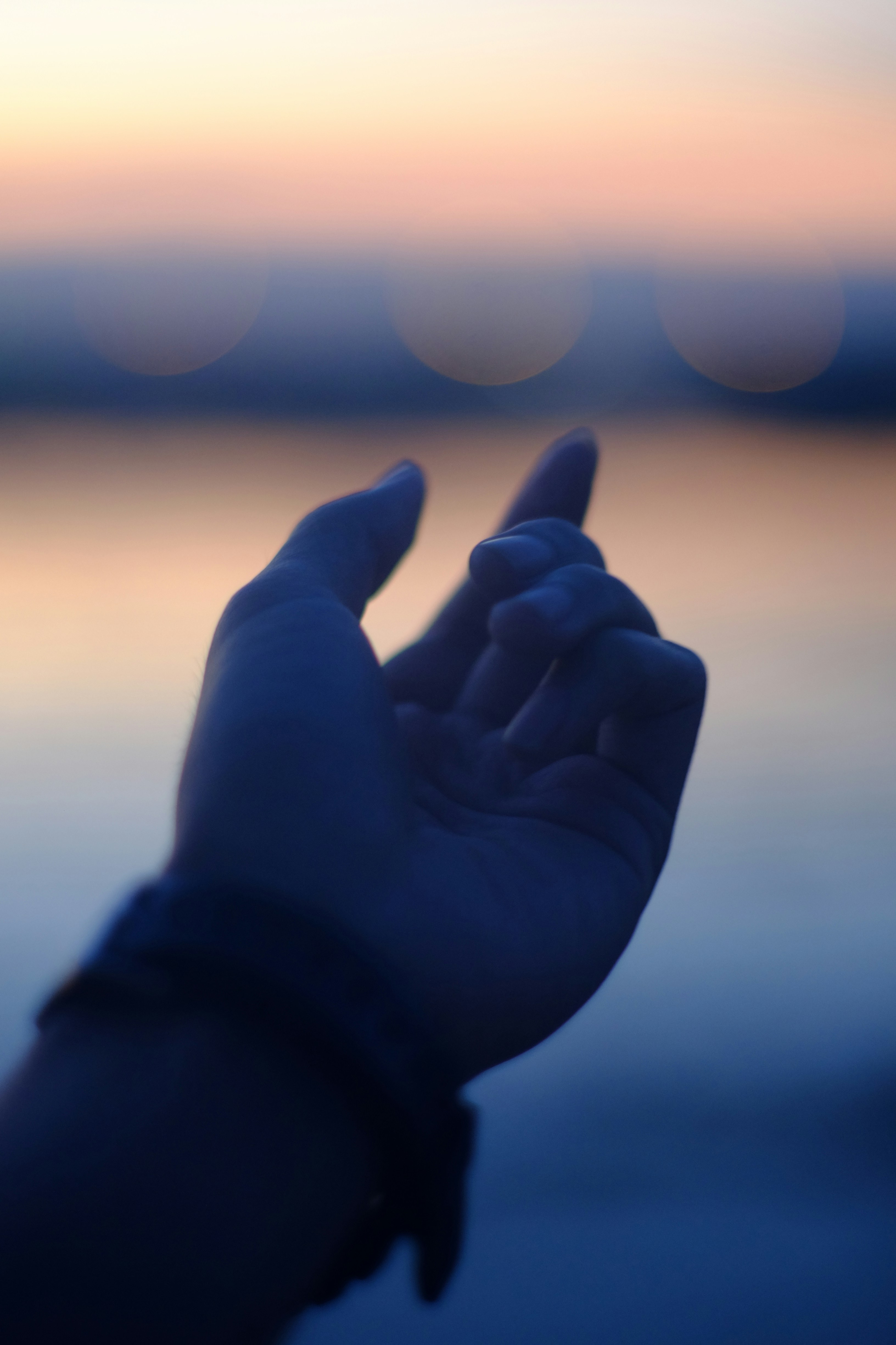 Photo by lewisnguyen