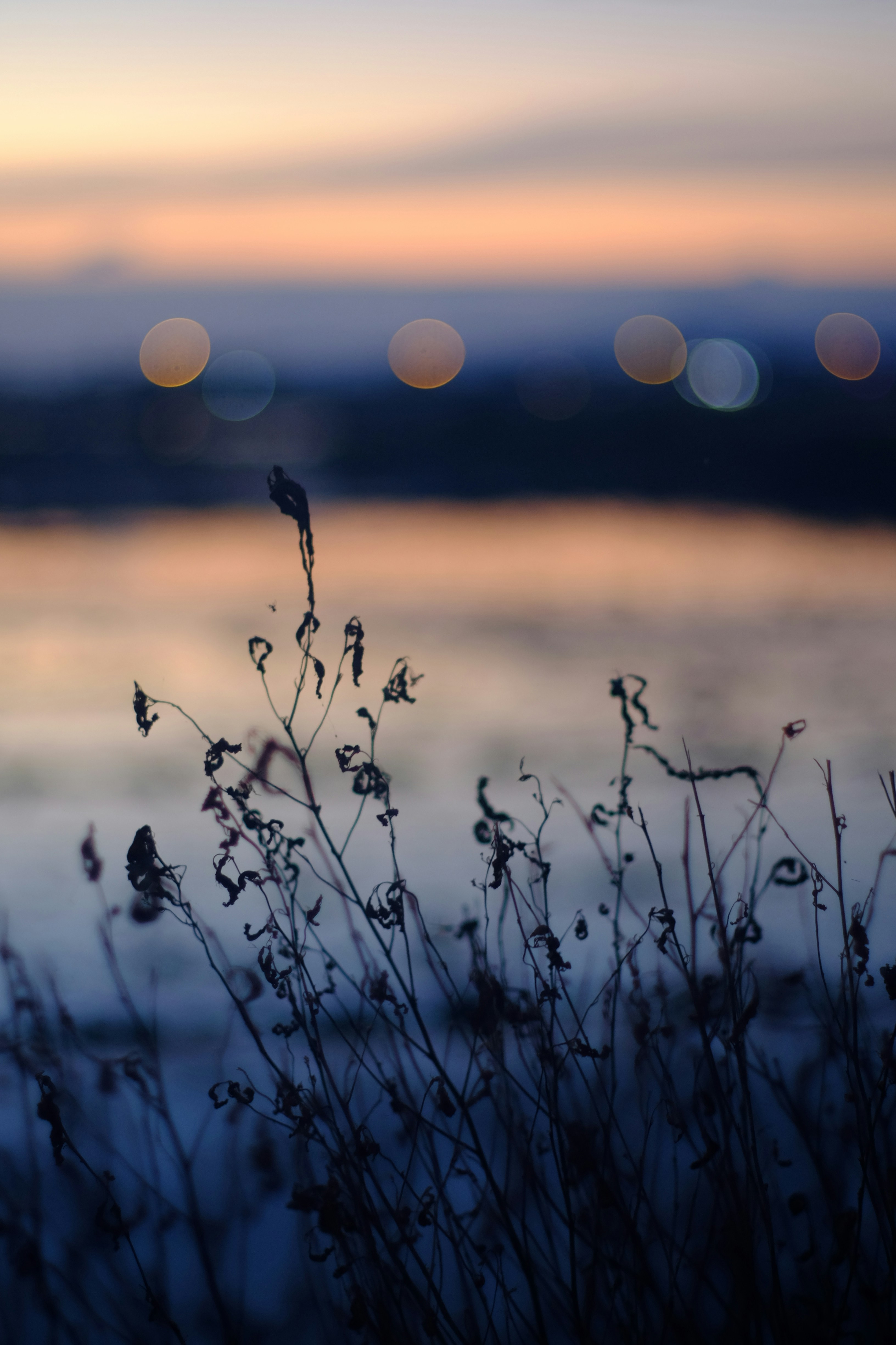 Photo by lewisnguyen