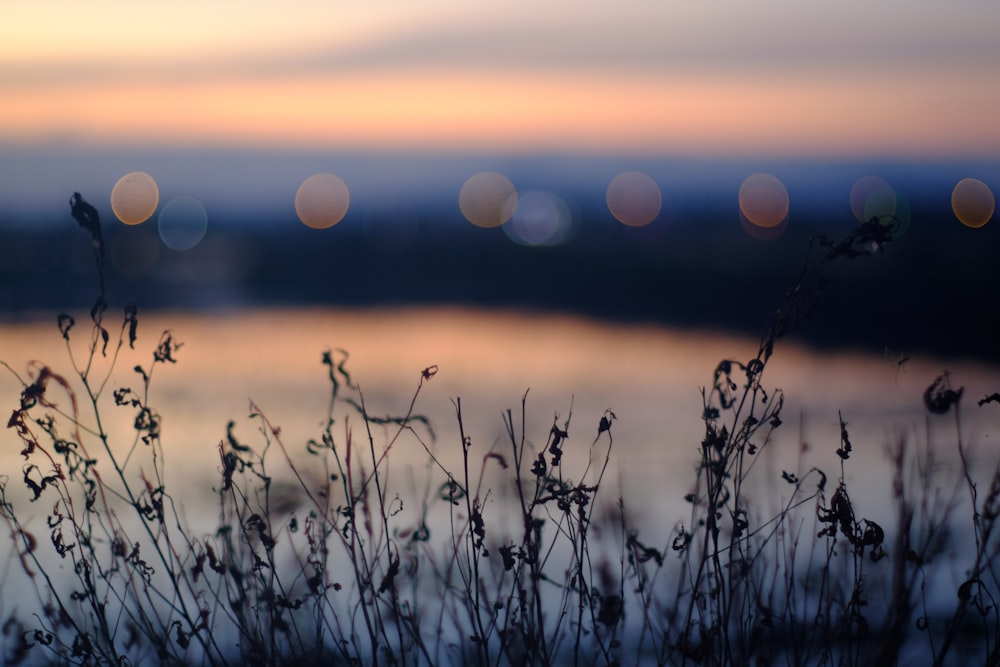 a blurry photo of a field with a body of water in the background