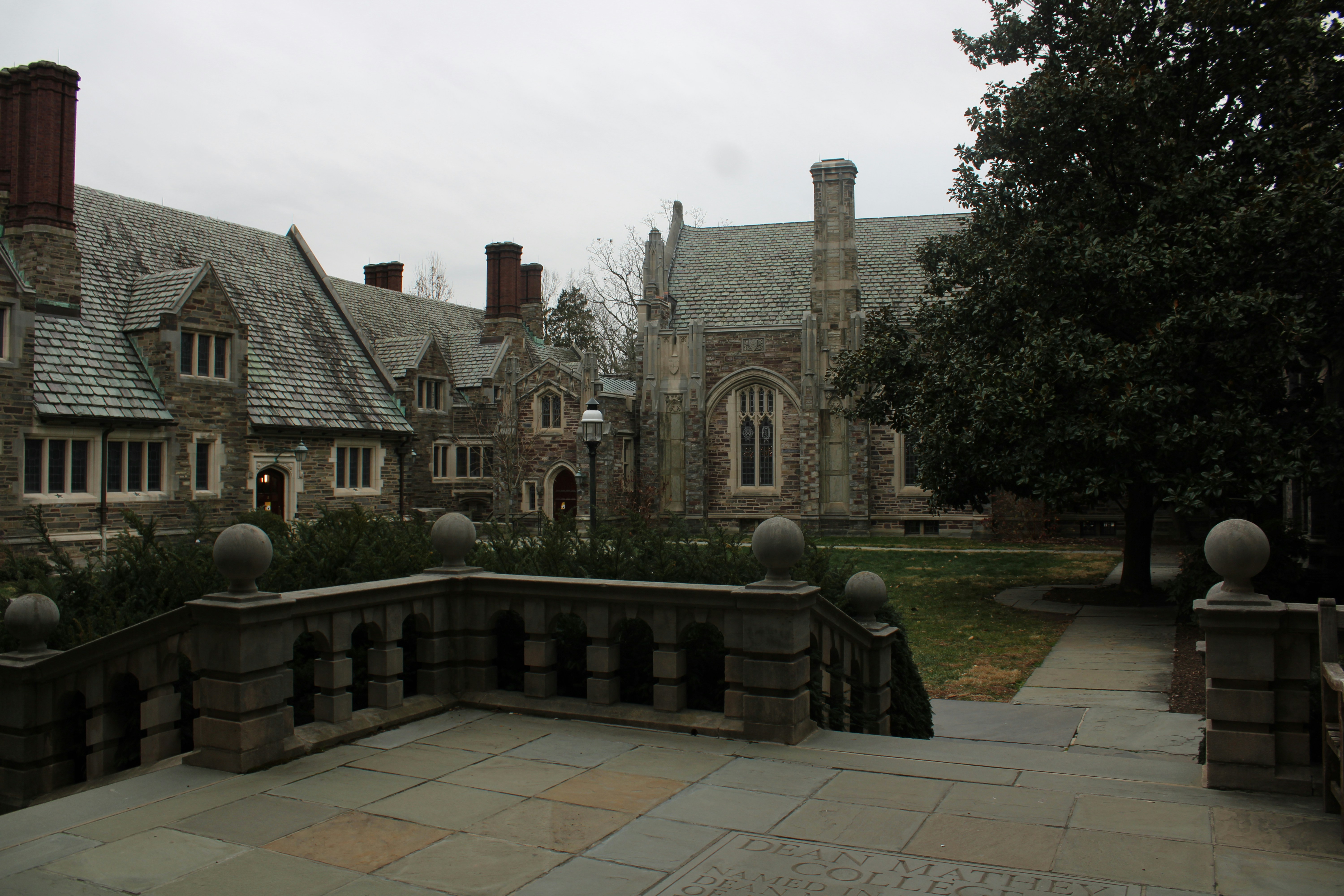 Photo by sadiecoulter