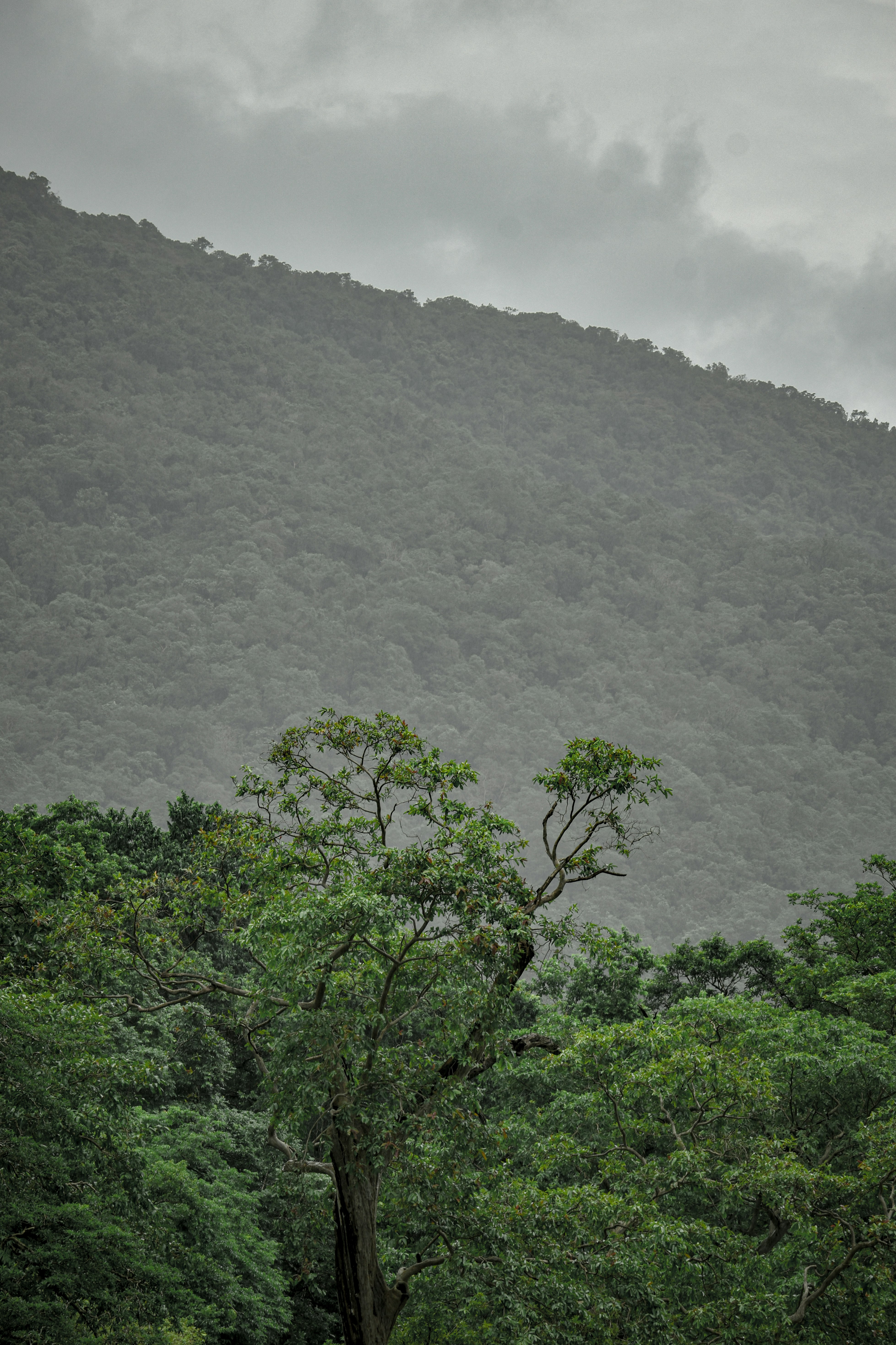 Photo by aditya_ghodke