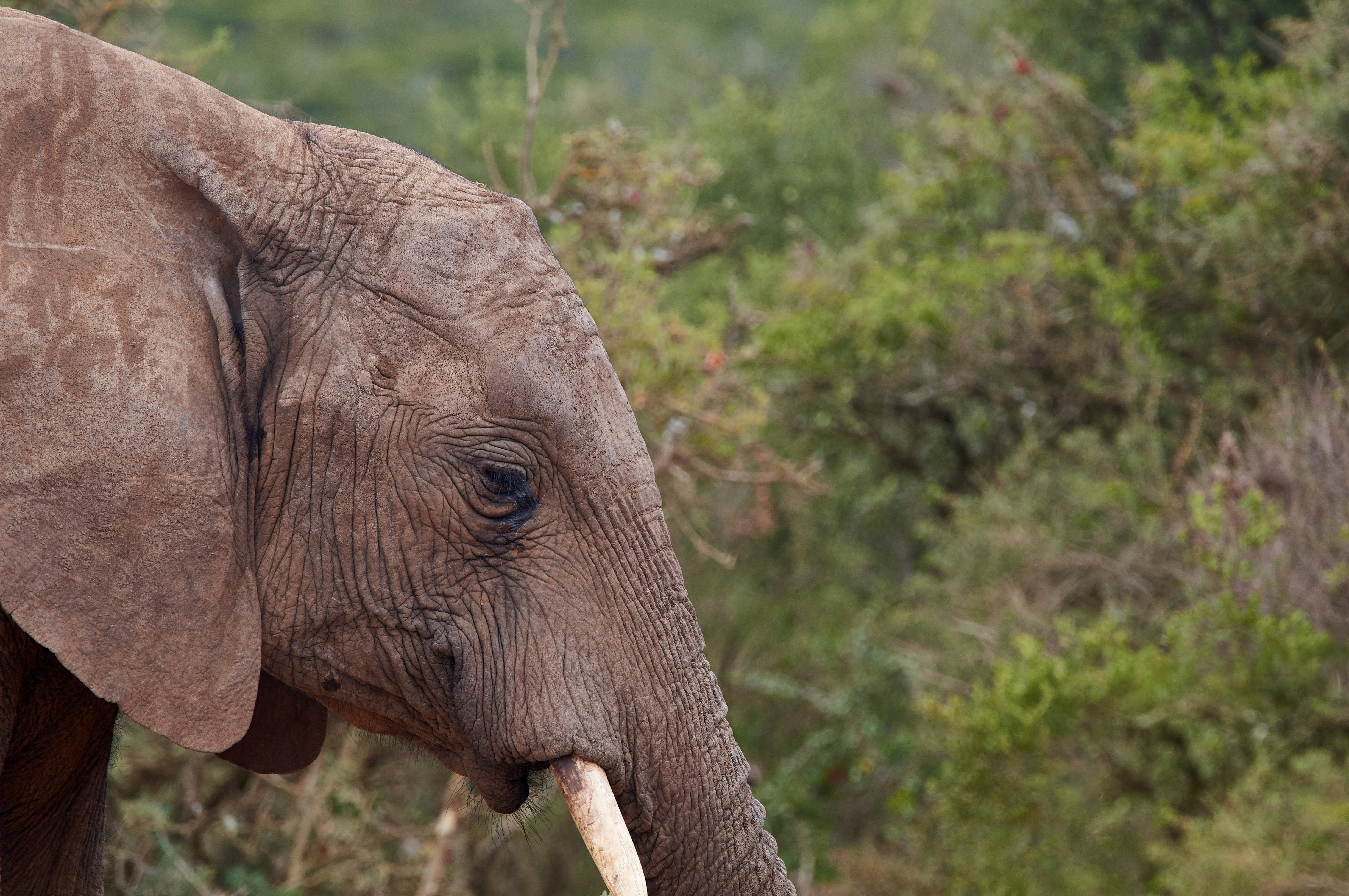 Photo by wolfgang_hasselmann