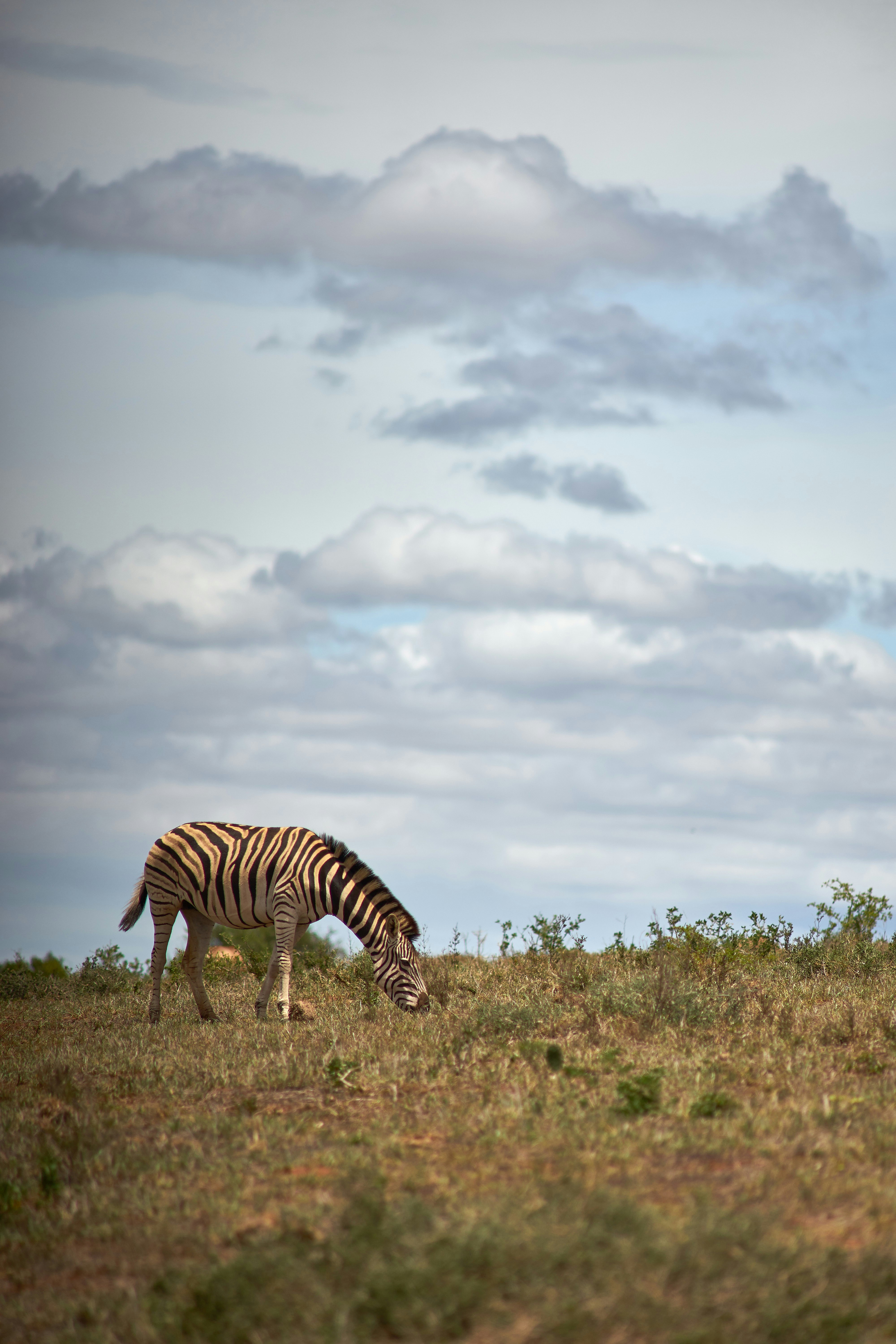 Photo by wolfgang_hasselmann