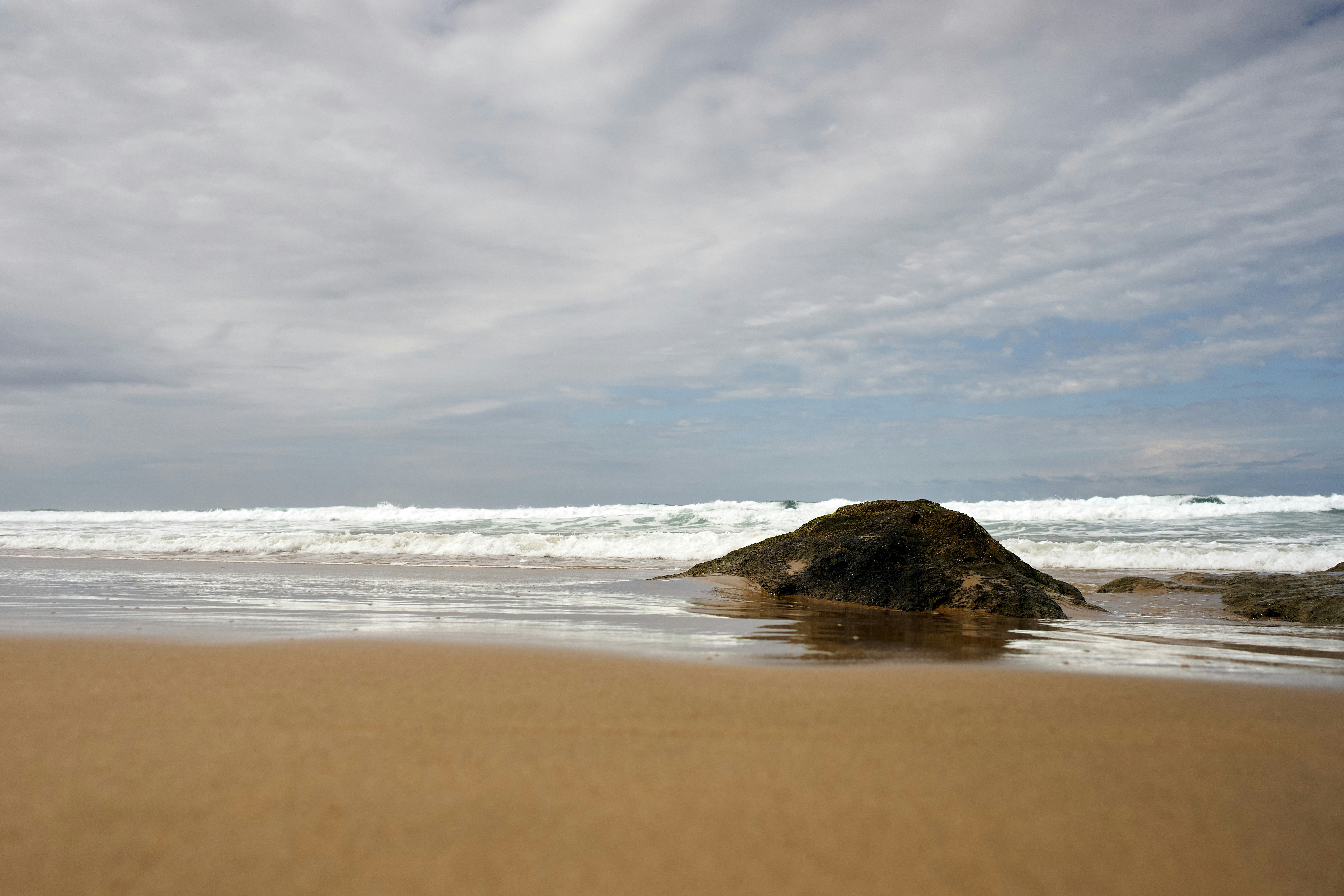 Photo by wolfgang_hasselmann