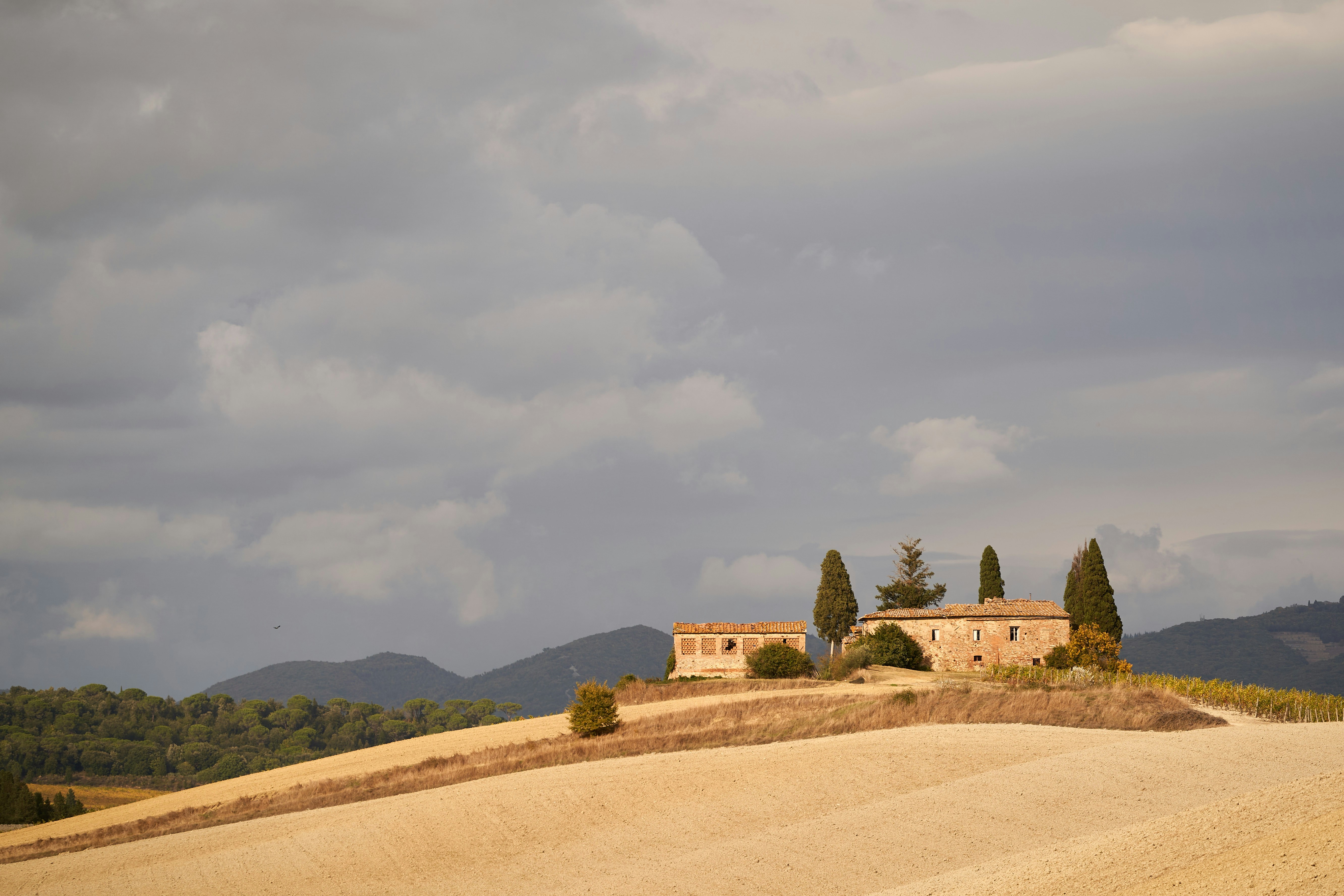 Photo by wolfgang_hasselmann