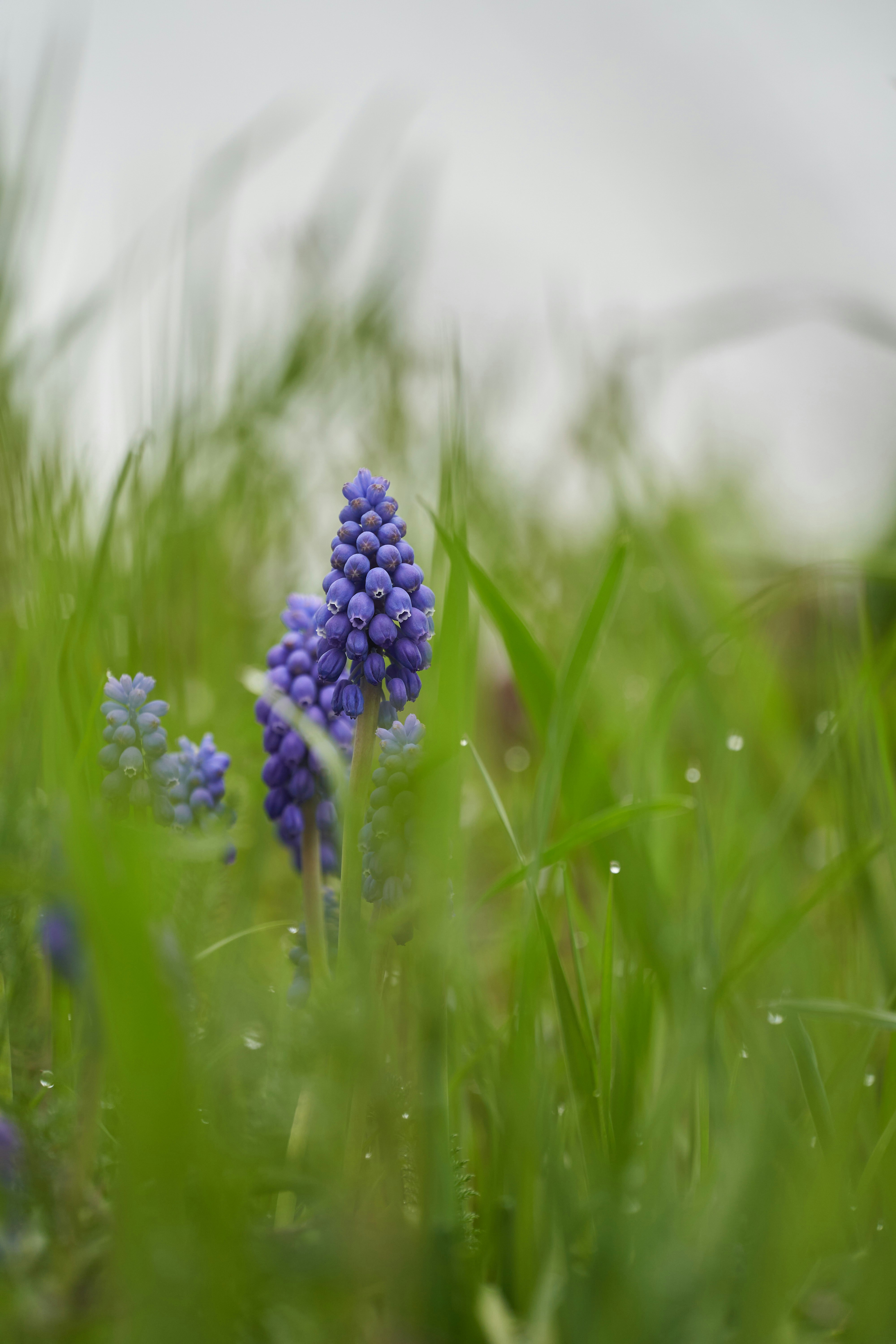 Photo by wolfgang_hasselmann