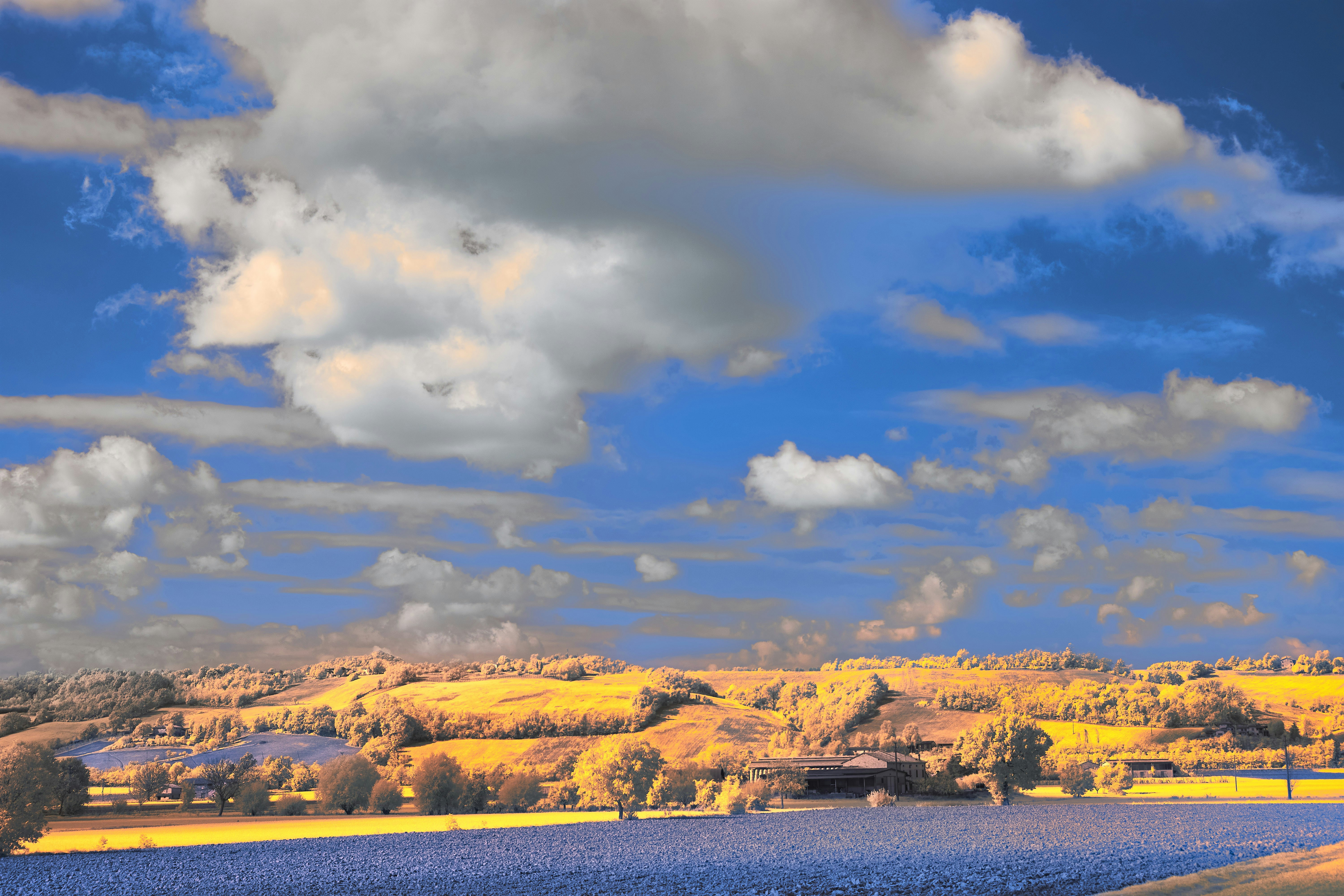 Photo by wolfgang_hasselmann