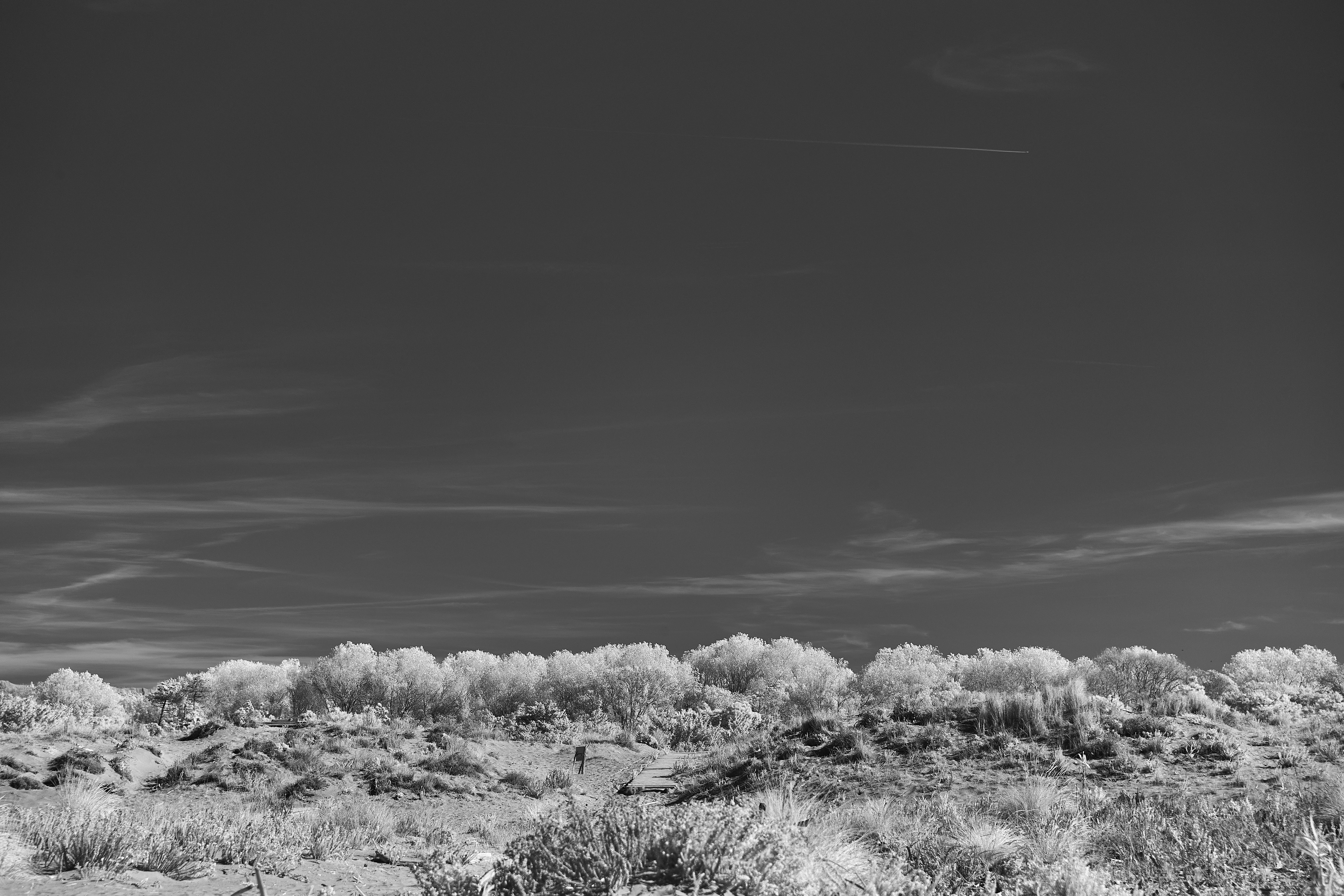 a black and white photo of a desert landscape