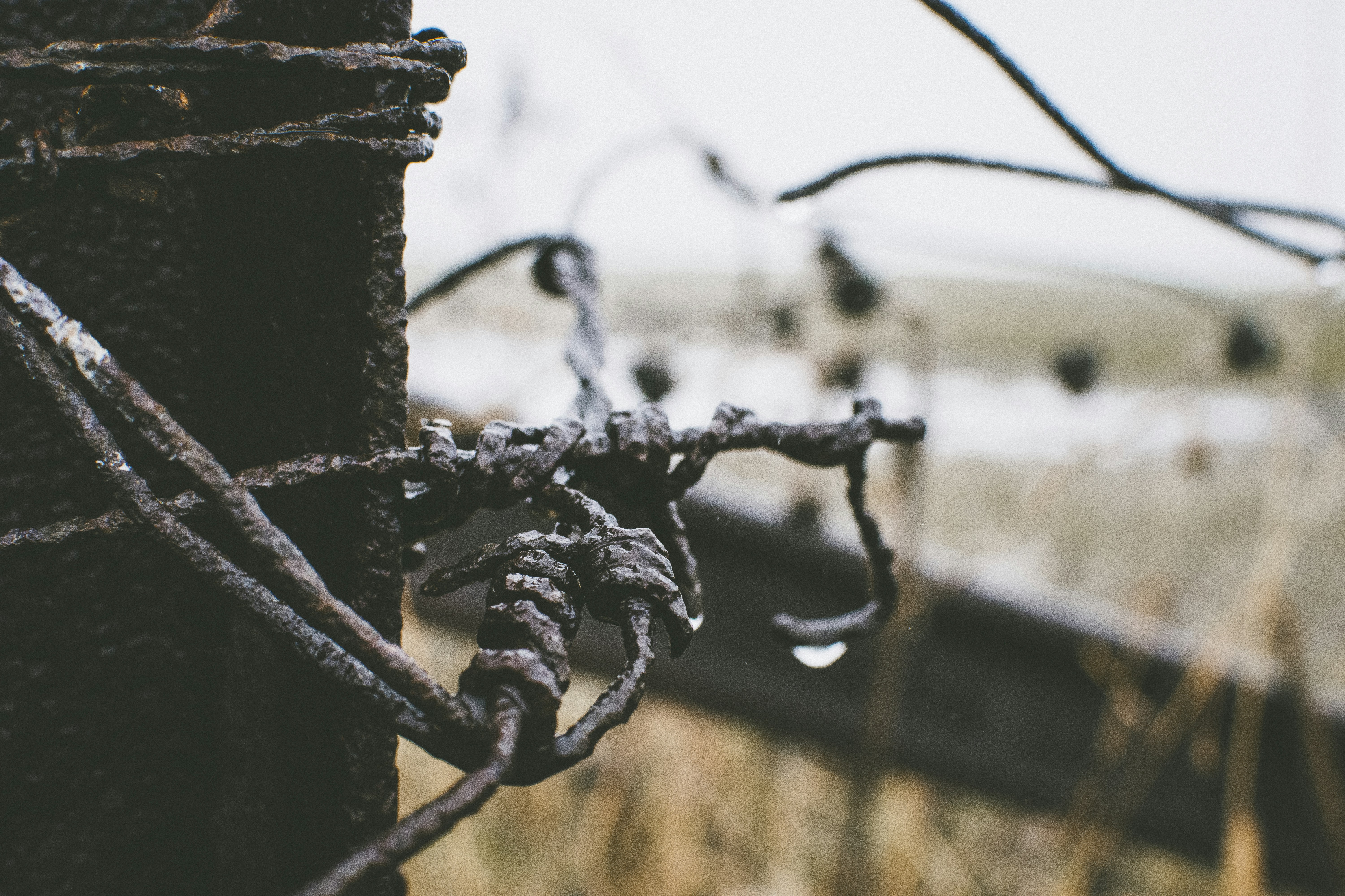 a close up of a barbed wire fence