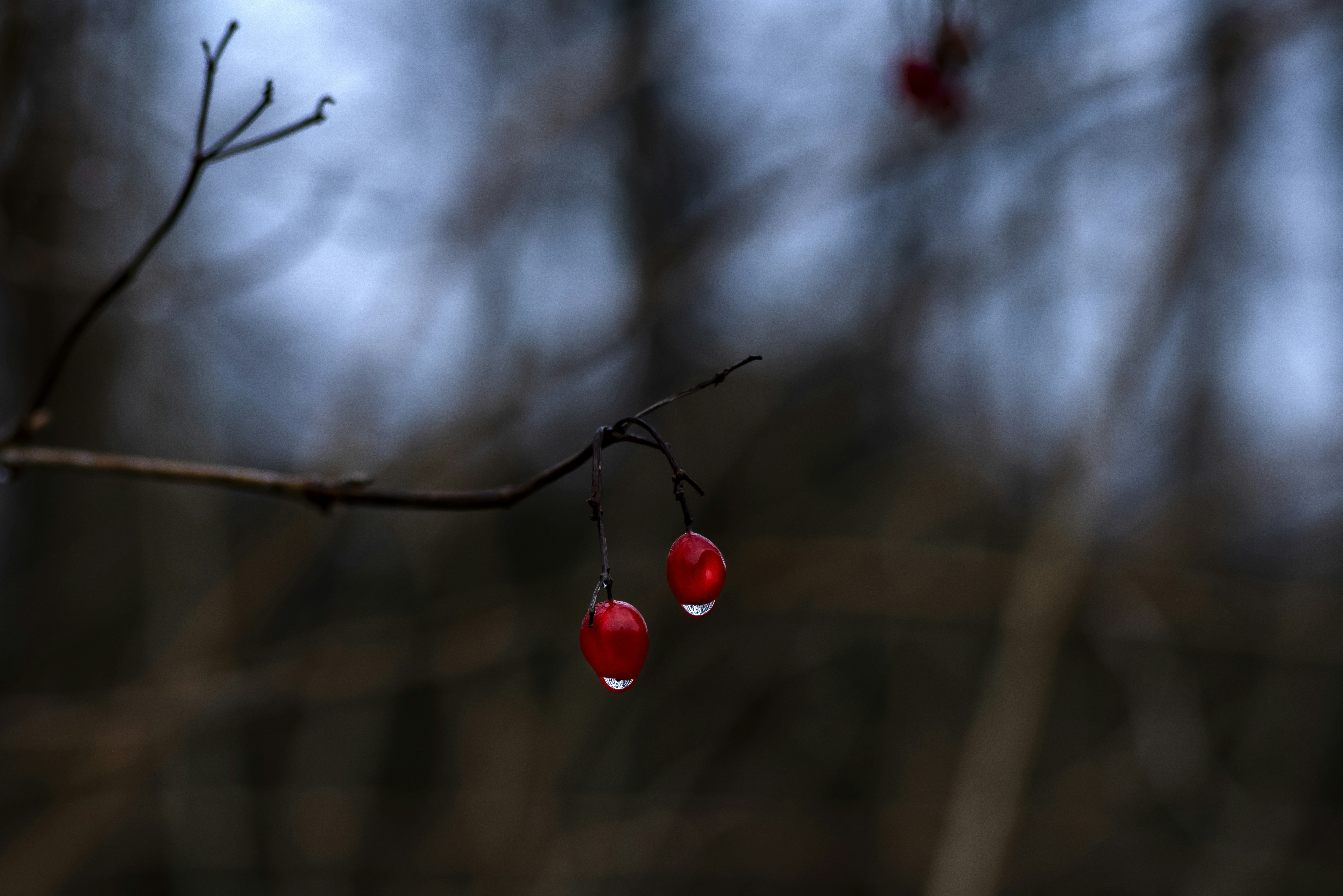 Photo by switch_dtp_fotografie