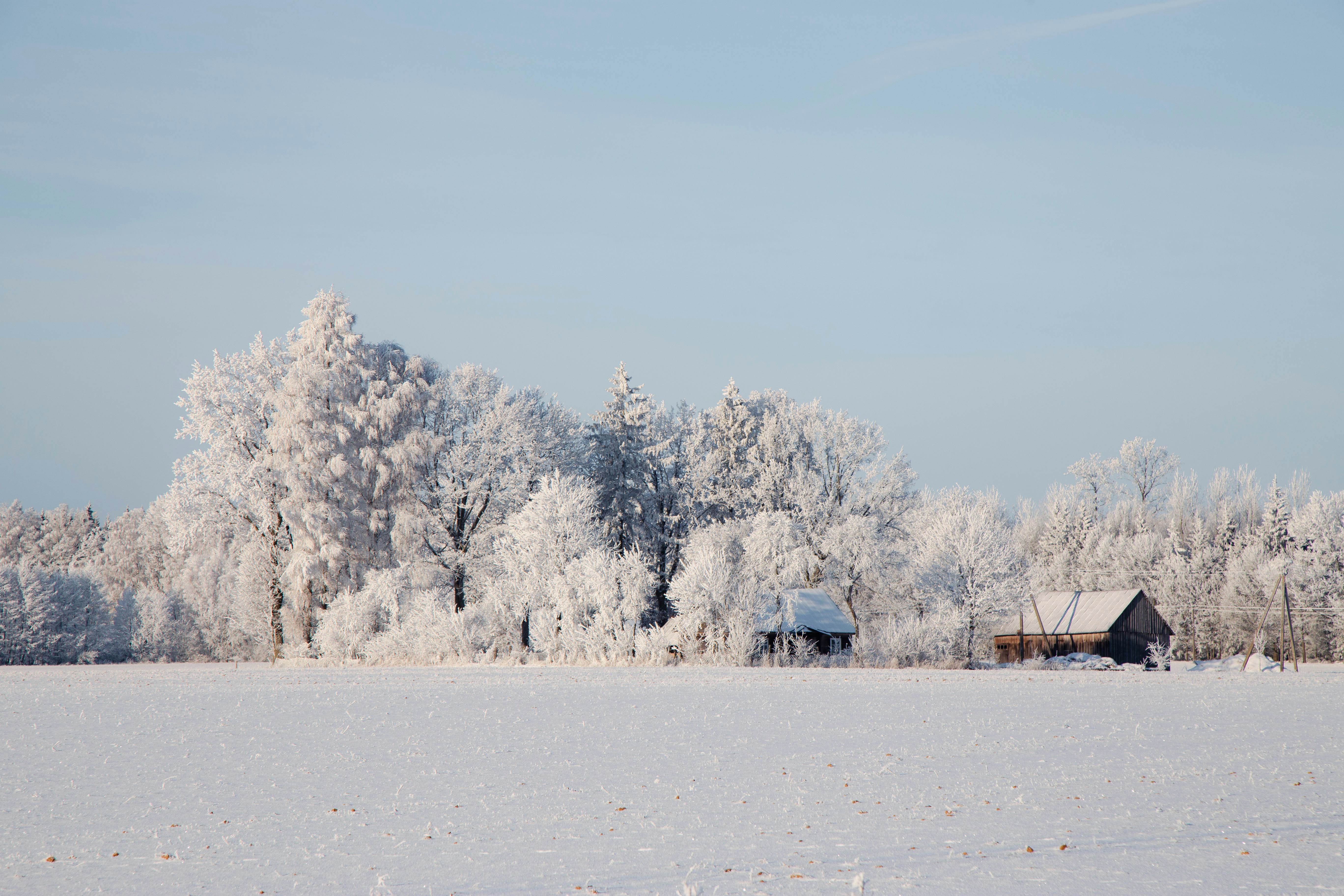 winter snow landscape, ilustrasi artikel Winter Acne: Unmasking the Chilling Truth Behind Cold-Weather Breakouts 7