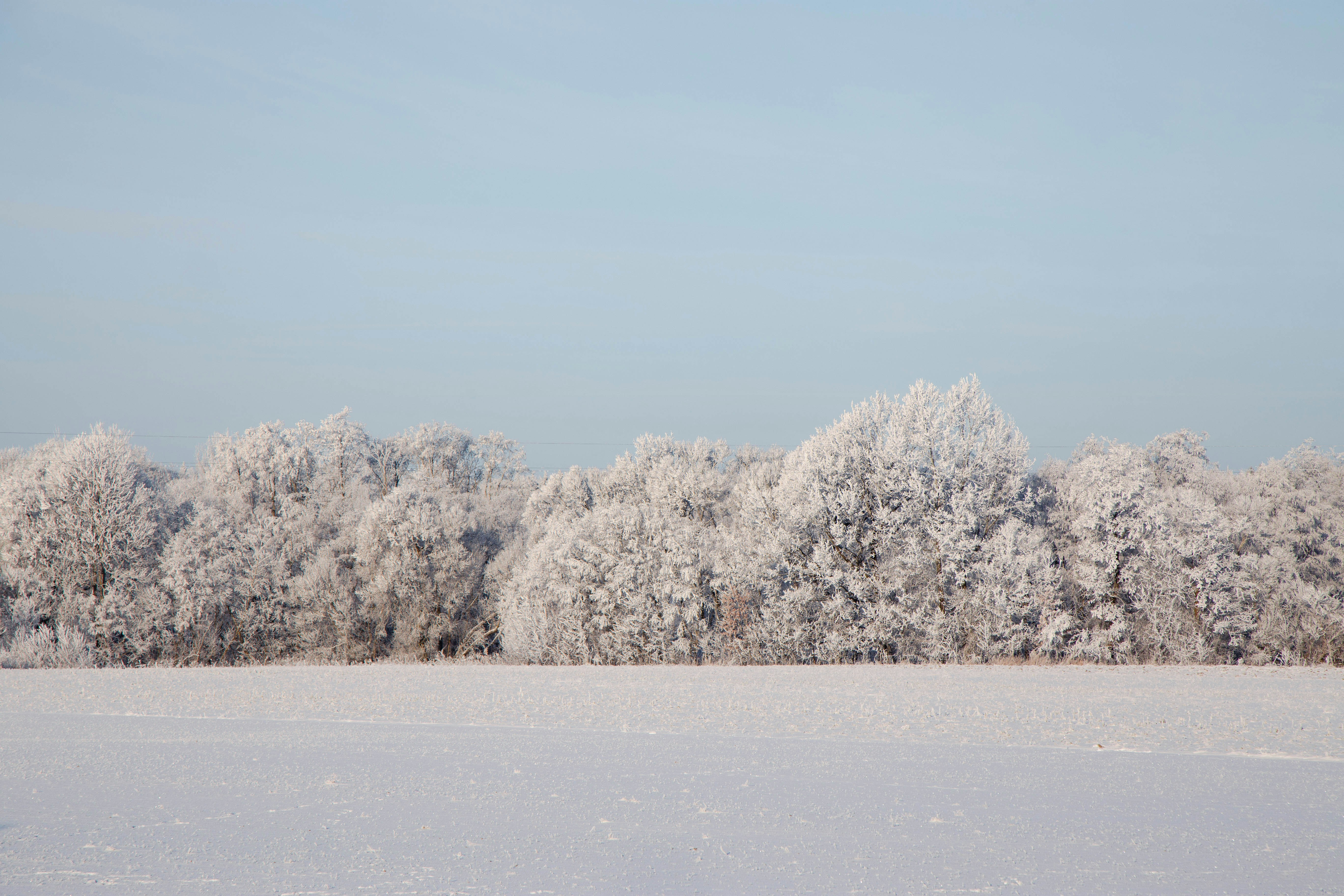 Photo by graphicnode