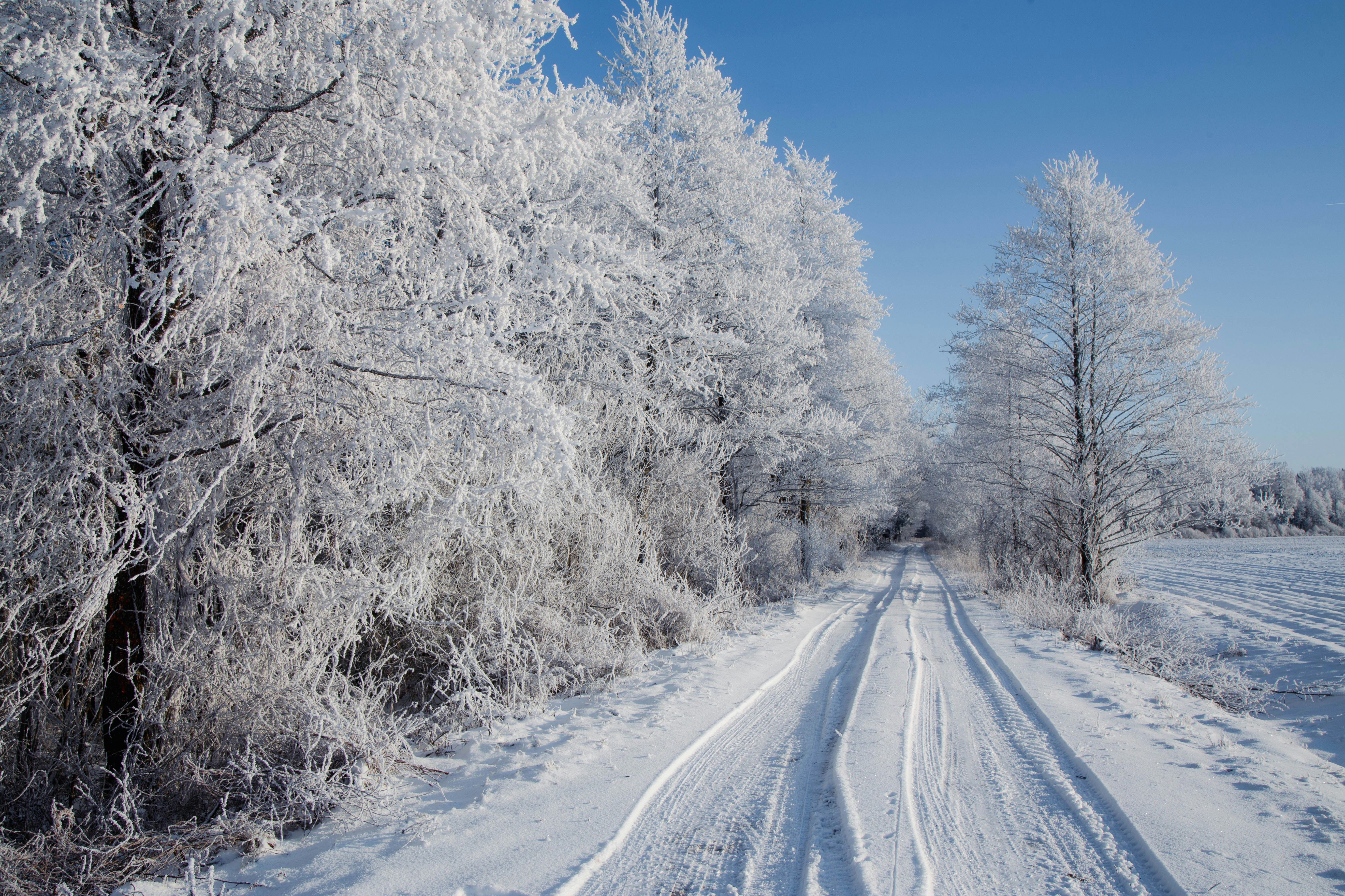 Photo by graphicnode