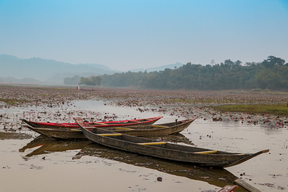 two canoes sitting on the shore of a lake