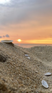 A serene view of Malvan beach at sunset with scuba diving gear resting on the sand.