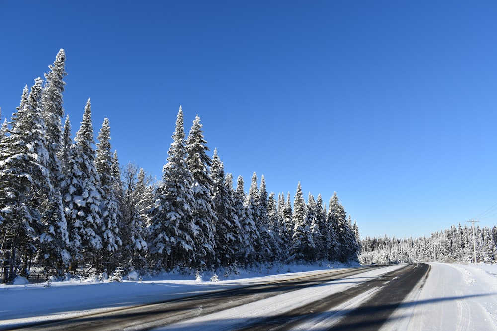 a road in the middle of a snow covered forest