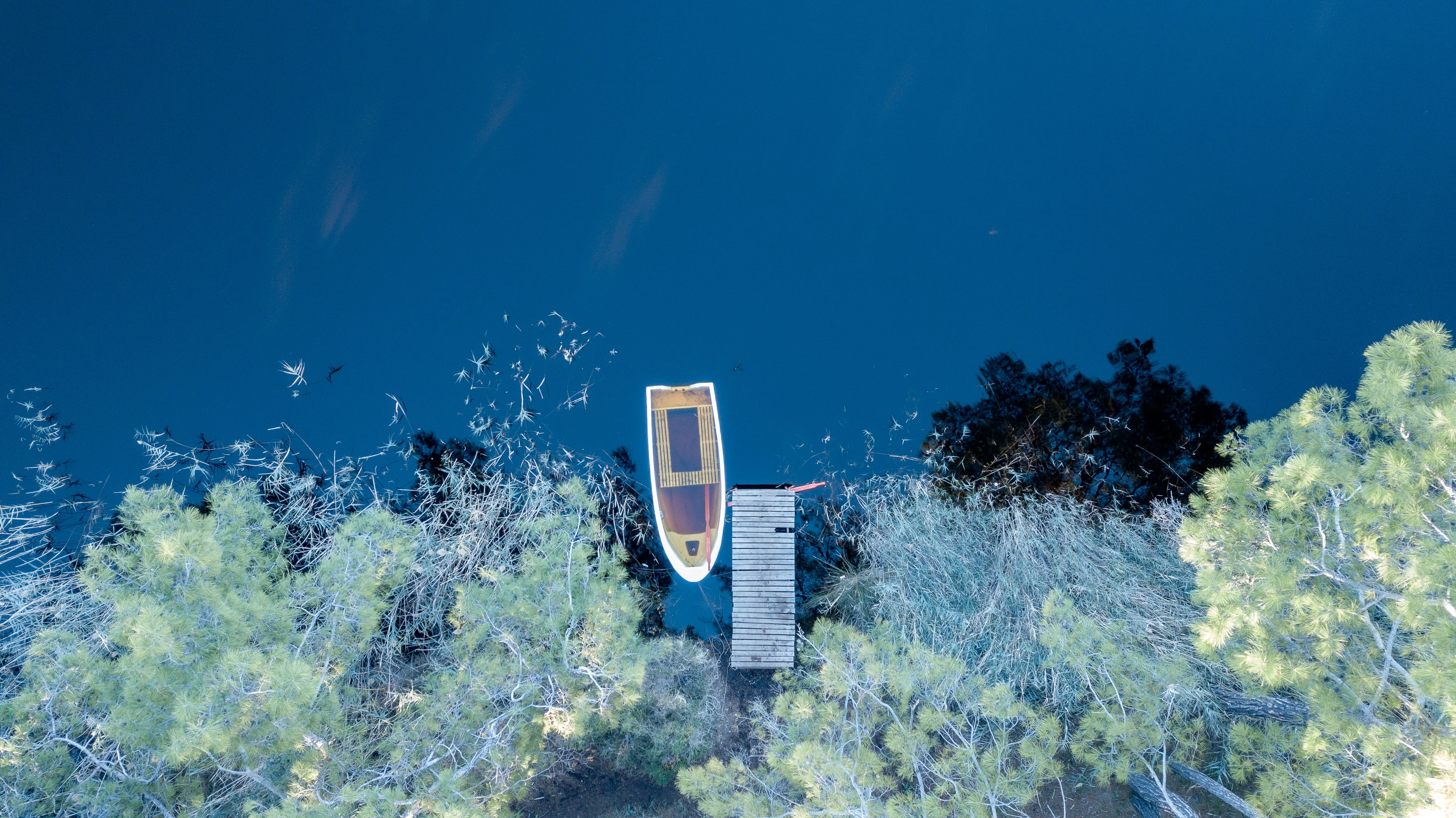 photo-1640703925345-731c515037a9?ixid=M3