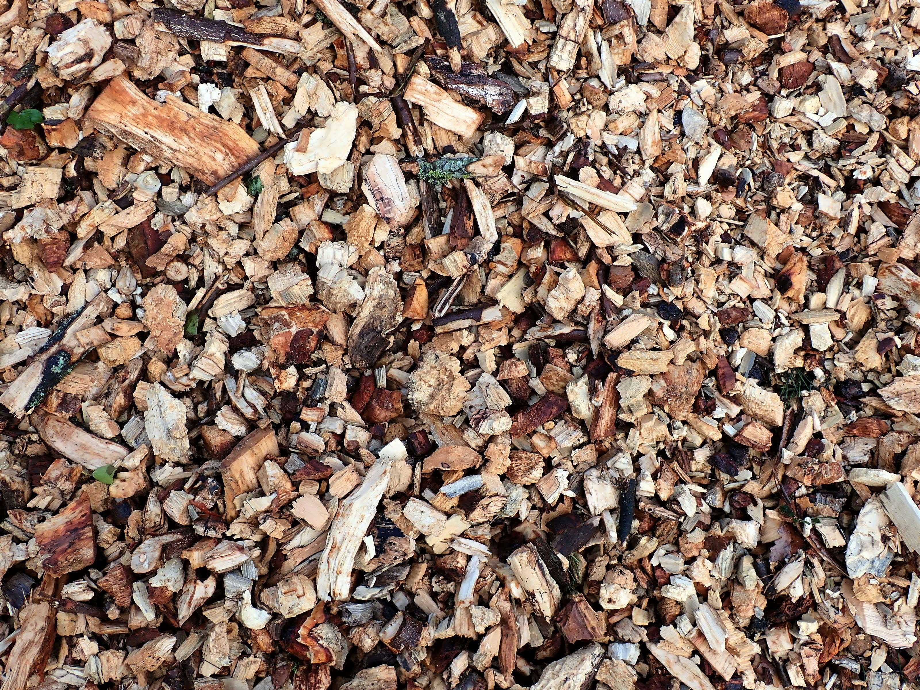 a close up of a pile of wood chips