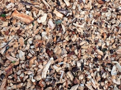 a close up of a pile of wood chips