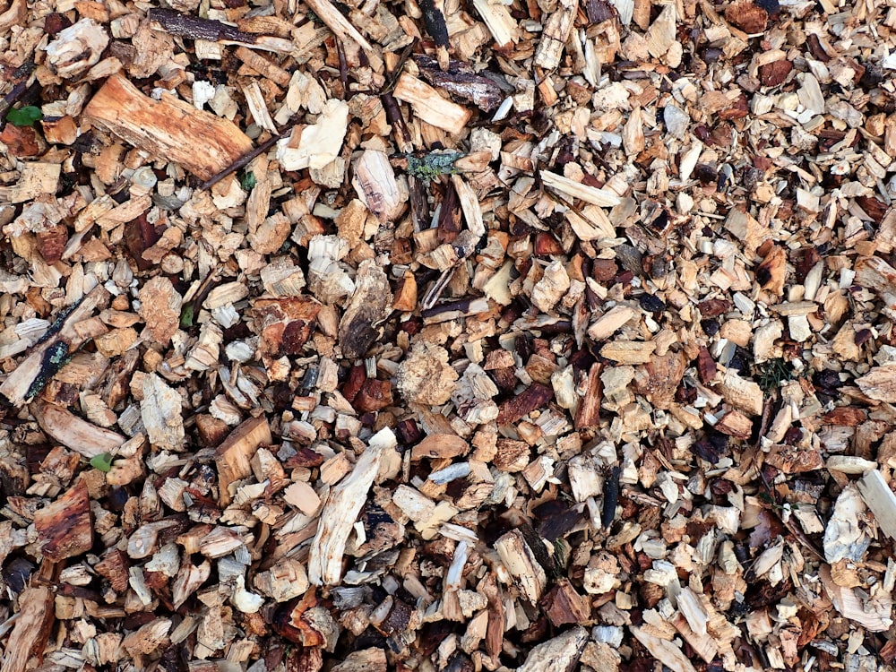 a close up of a pile of wood chips