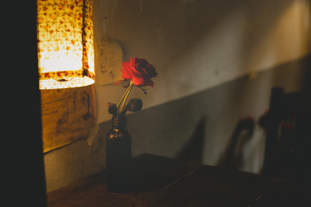 a single rose sits in a vase on a table