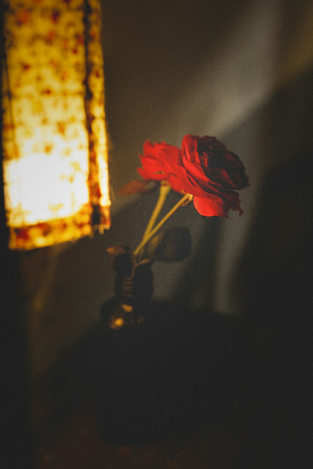 a single red rose sitting in a vase next to a lamp