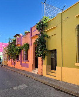 a row of colorful buildings on a city street