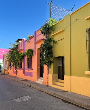 a row of colorful buildings on a city street
