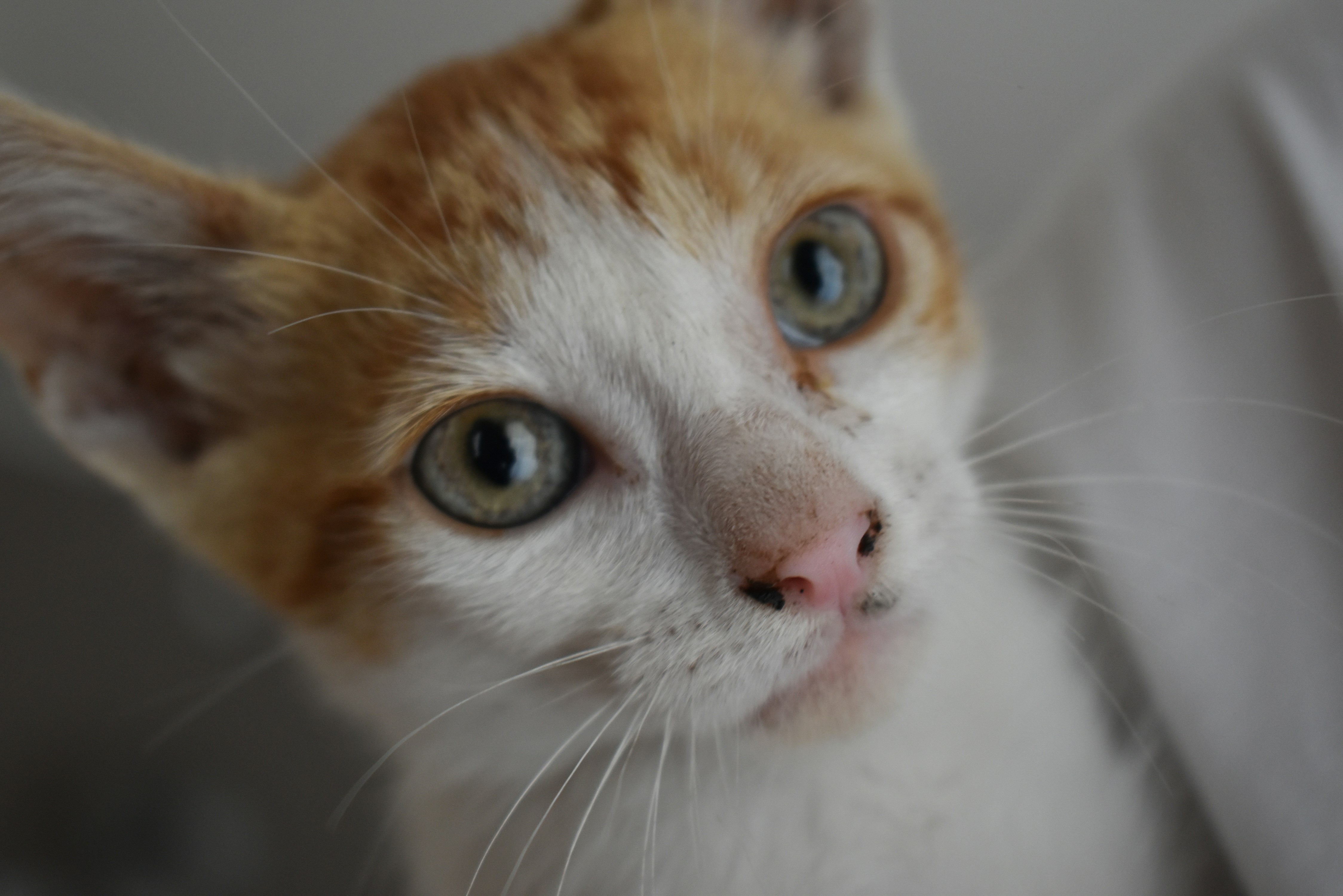 Photo by valenjphoto