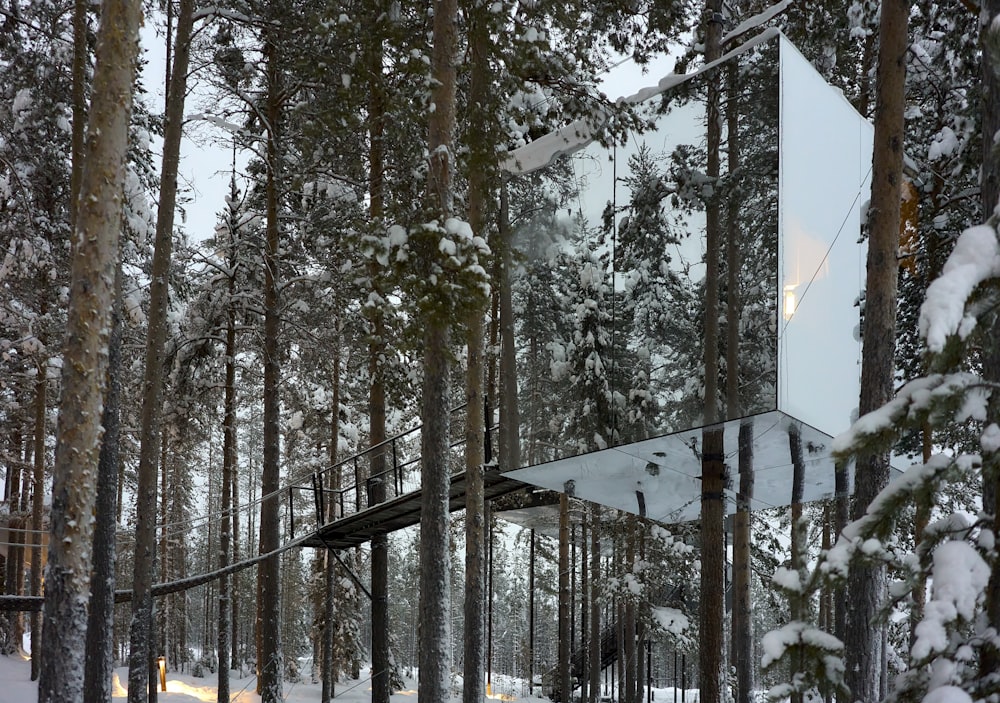 a mirror in the middle of a snowy forest