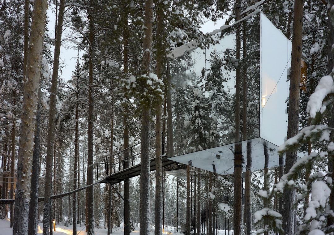a mirror in the middle of a snowy forest,