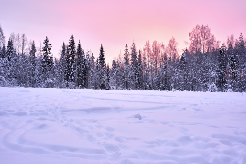 a snow covered field with trees in the background