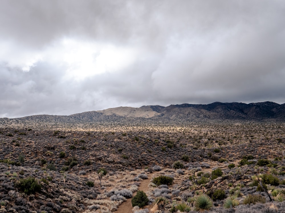 a dirt road in the middle of a desert