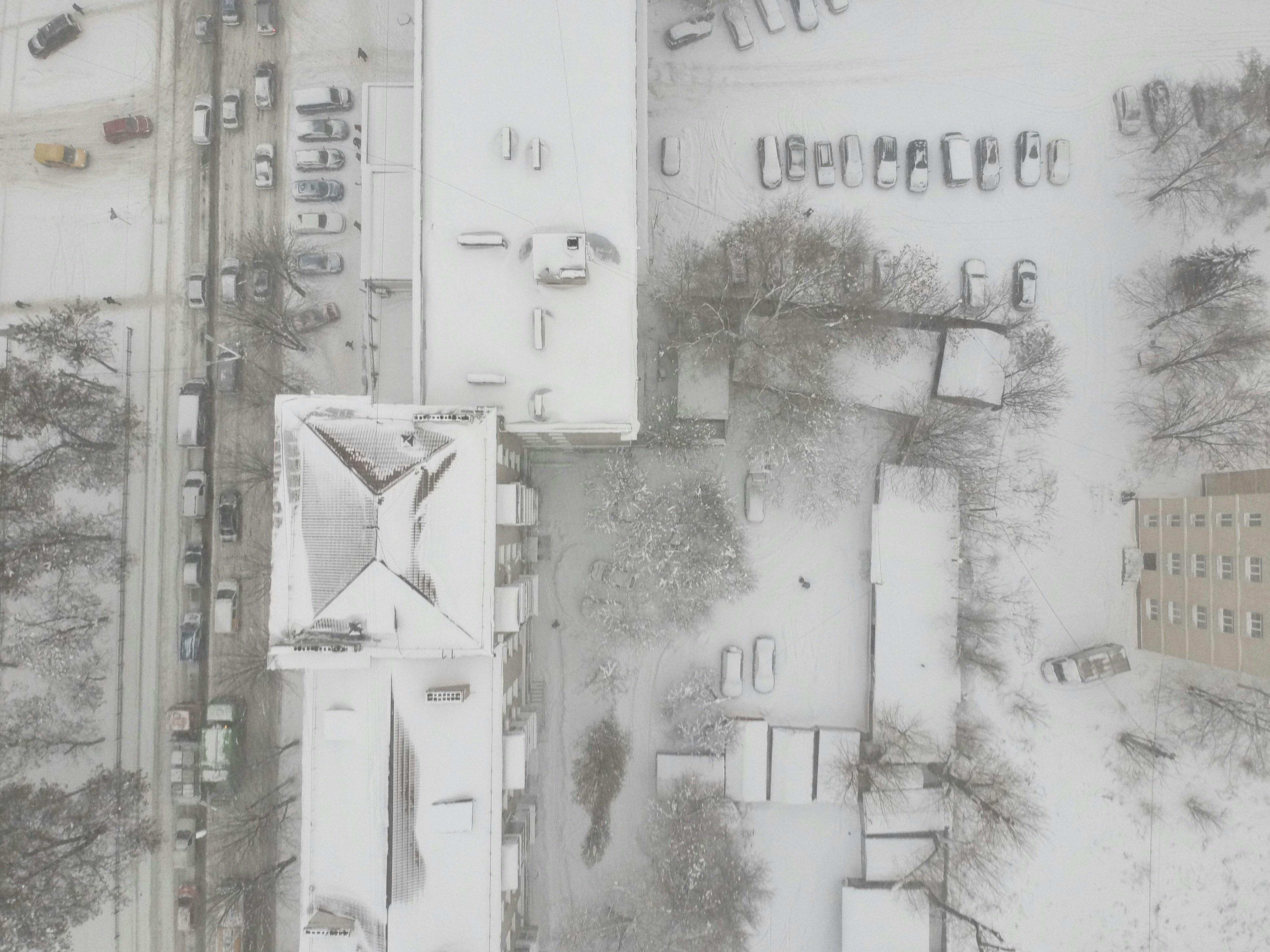 Photo by timesnewroman14