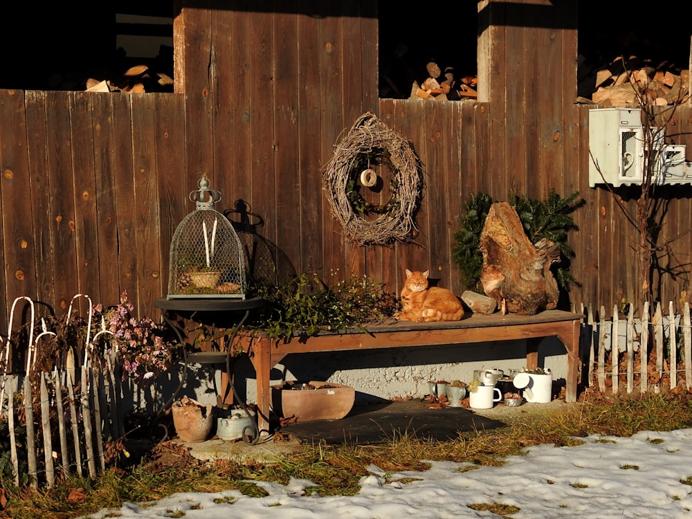 a cat sitting on a bench in front of a fence