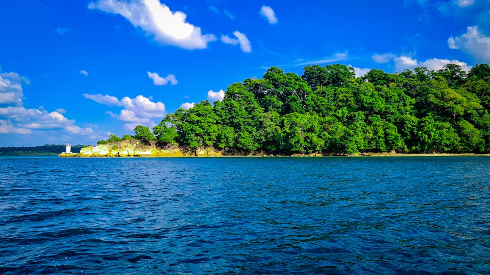 a large body of water surrounded by trees