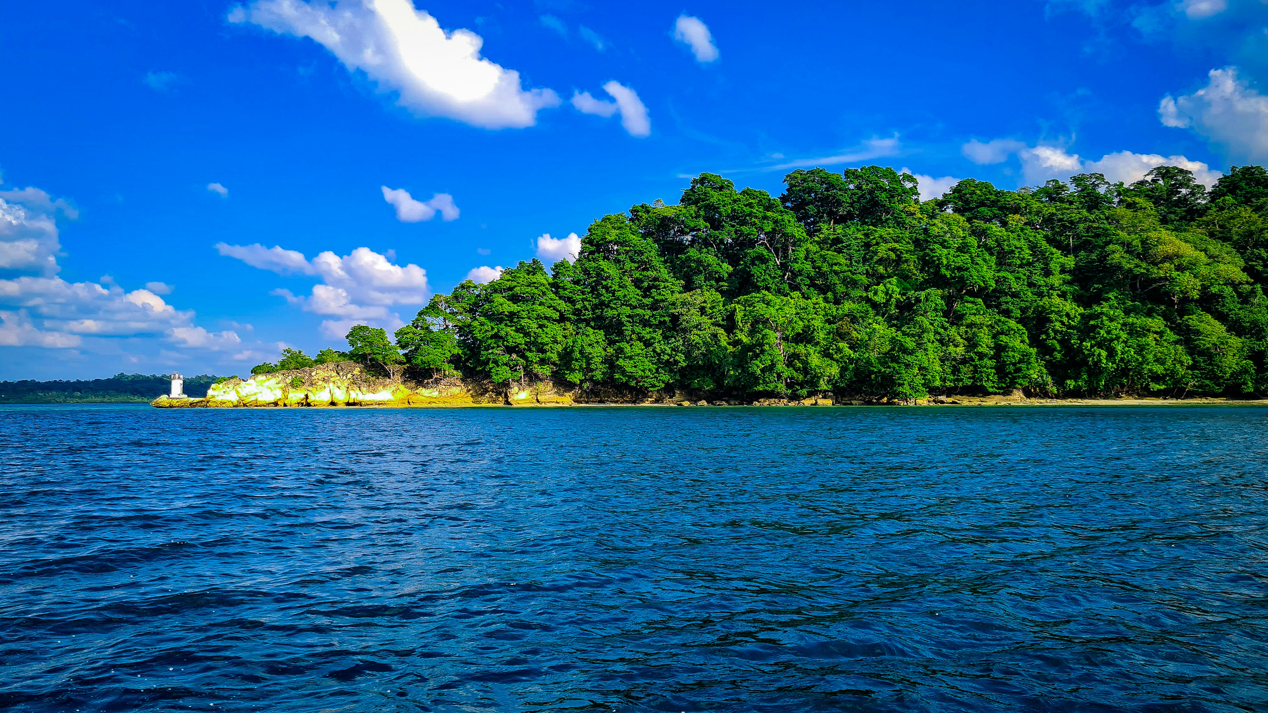 a large body of water surrounded by trees