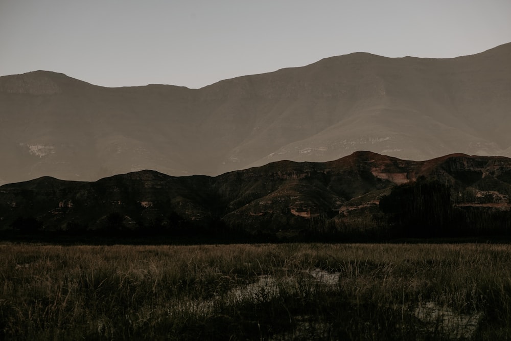 a grassy field with mountains in the background