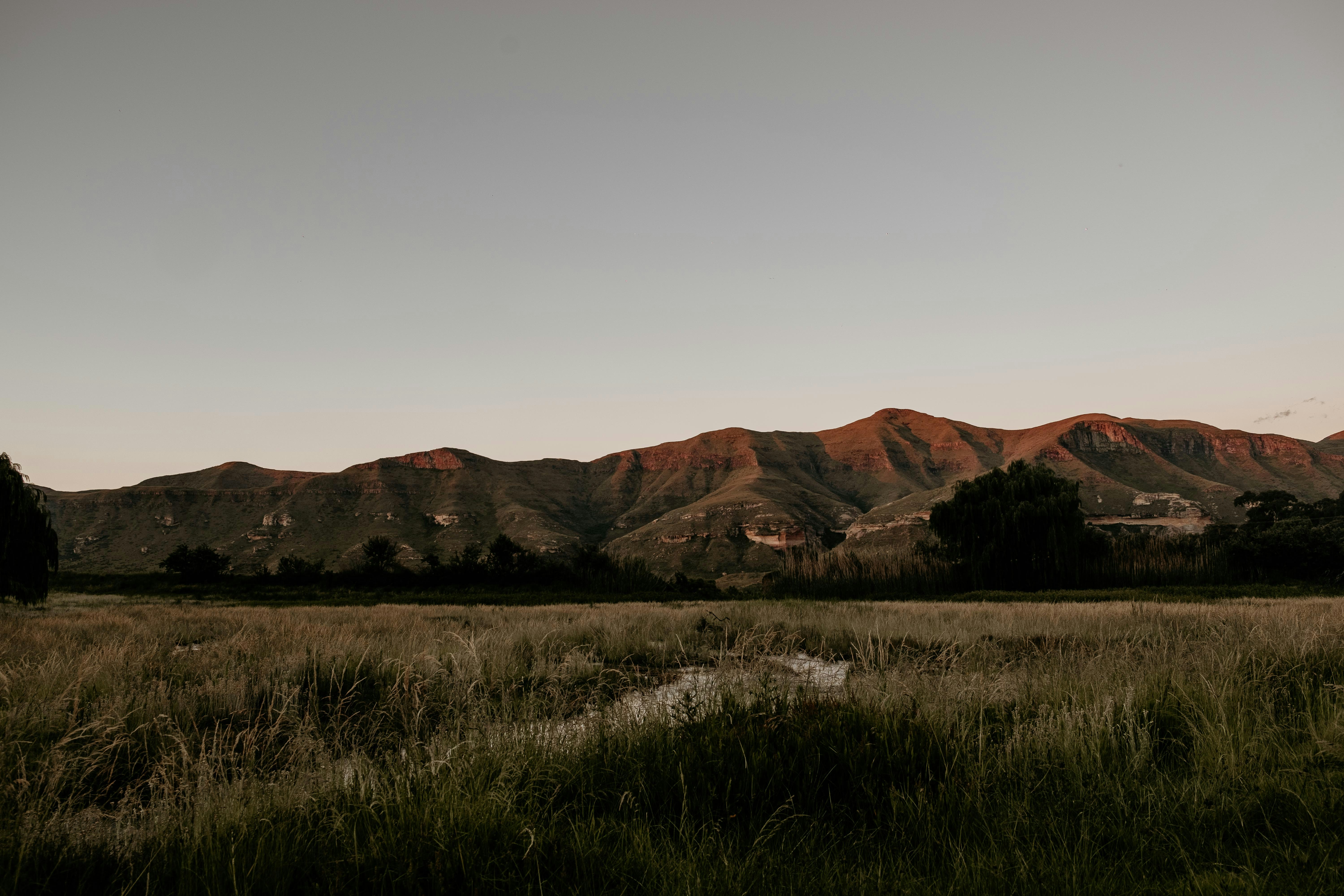 Photo by etienne_creative