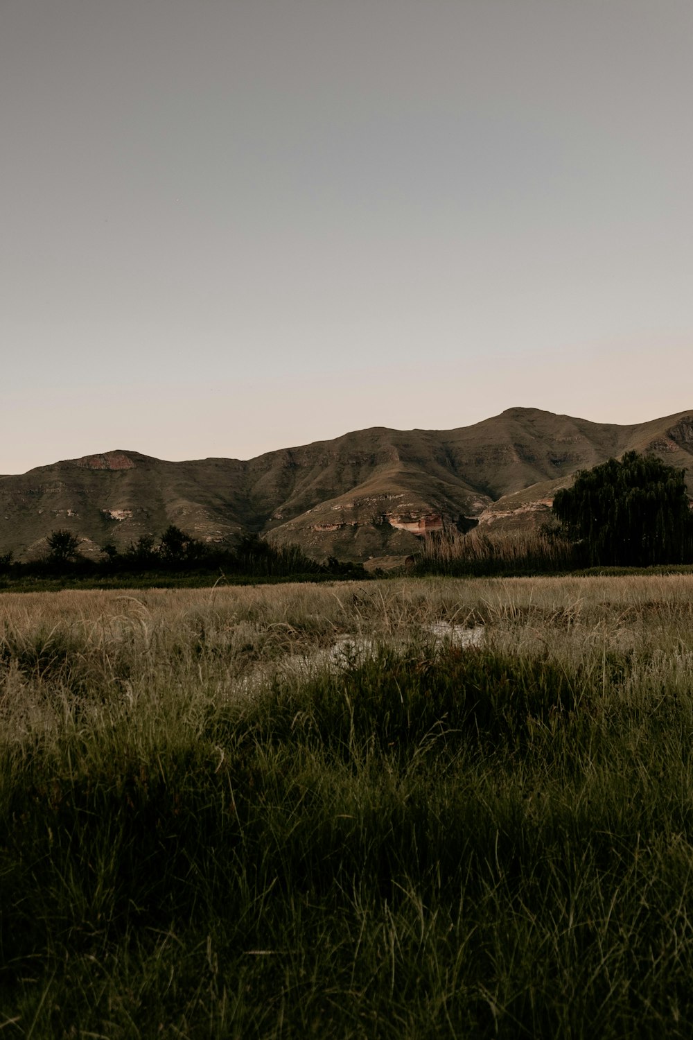 a grassy field with mountains in the background