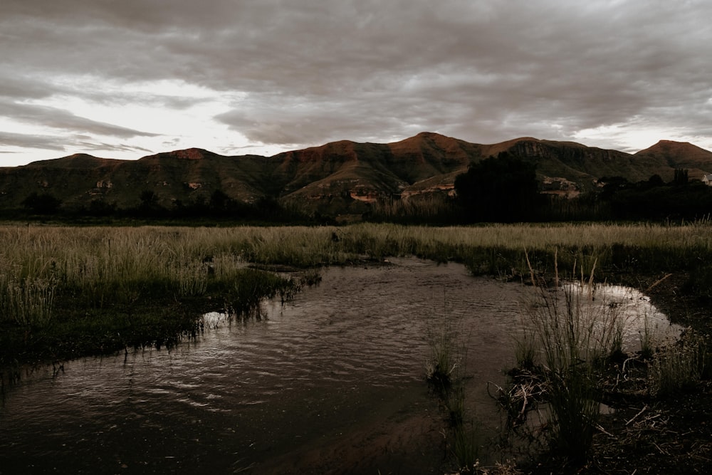 a river running through a lush green field under a cloudy sky