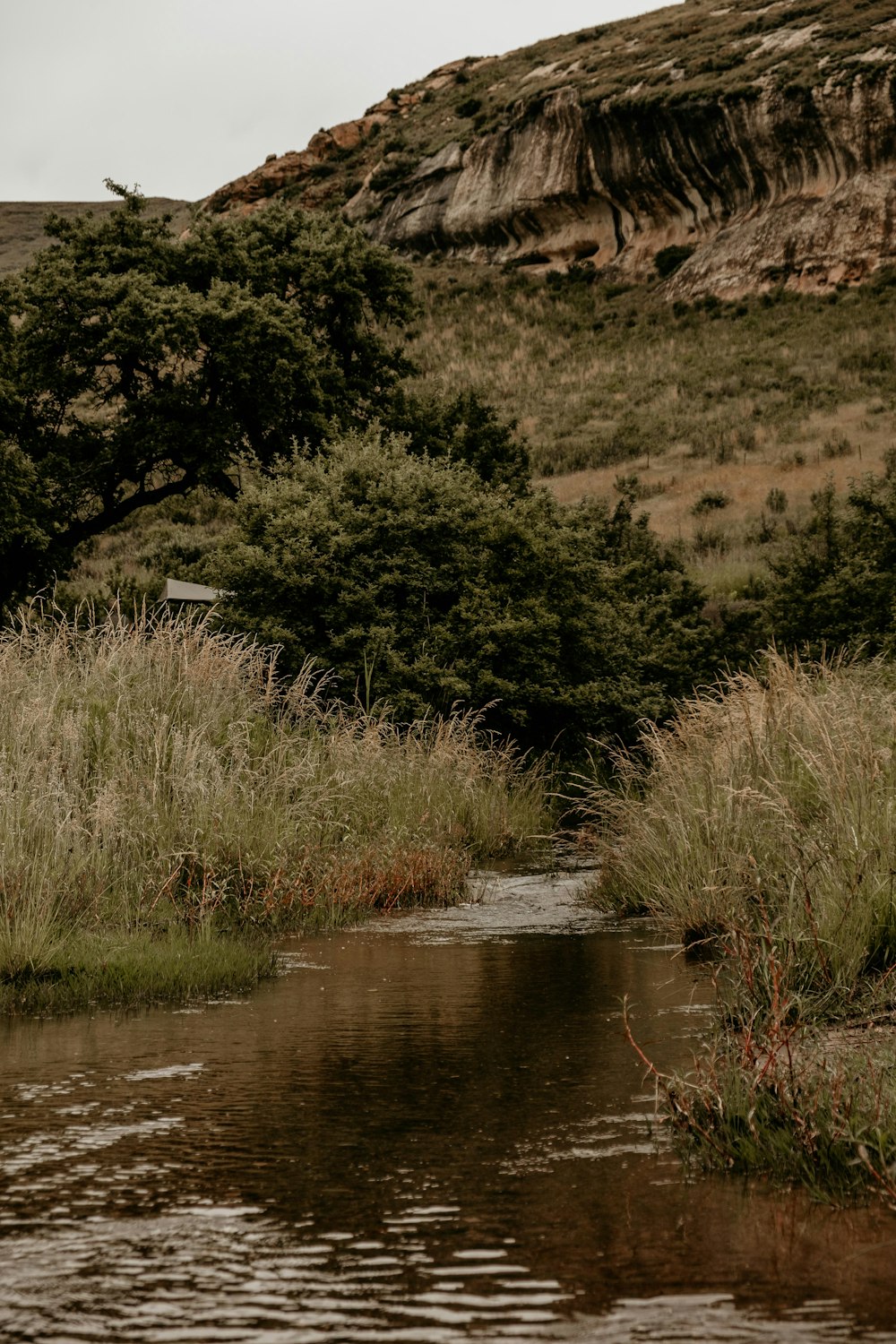 a stream running through a lush green hillside