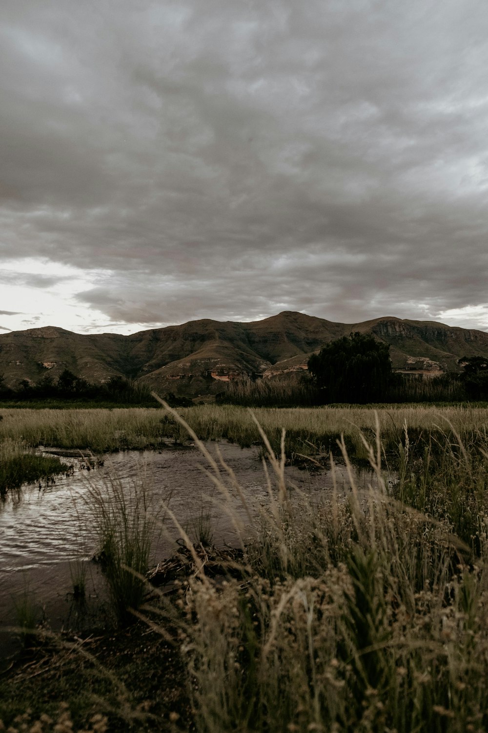 a river running through a lush green field under a cloudy sky