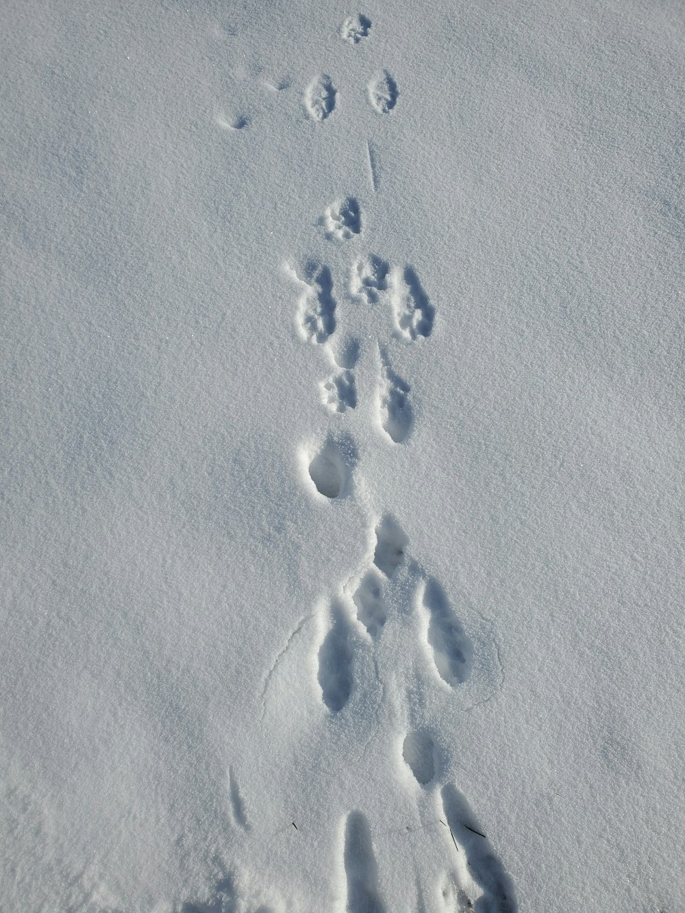 a person is walking in the snow with footprints