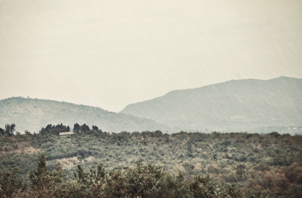 a field with trees and mountains in the background